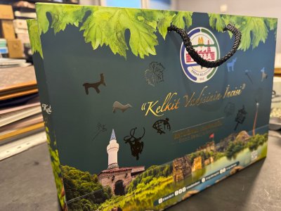 VARAK YALDIZLI YATAY KARTON ÇANTA